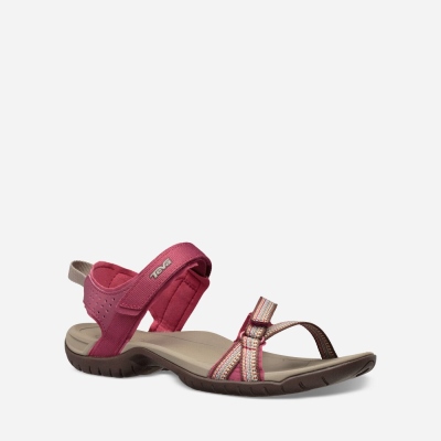 Teva Verra - Women's Teva Hiking Sandals - Grey / Red Purple | India (HCDQ26589)